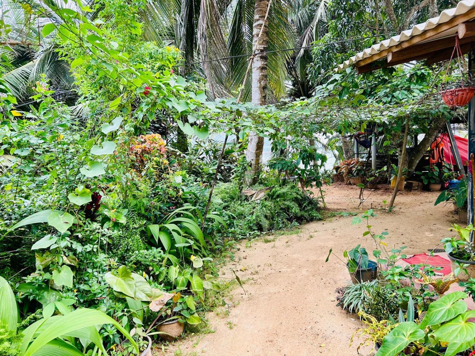 Surf Paradise Tangalle Luaran gambar