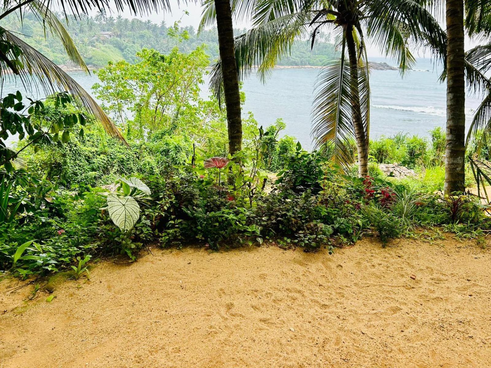 Surf Paradise Tangalle Luaran gambar