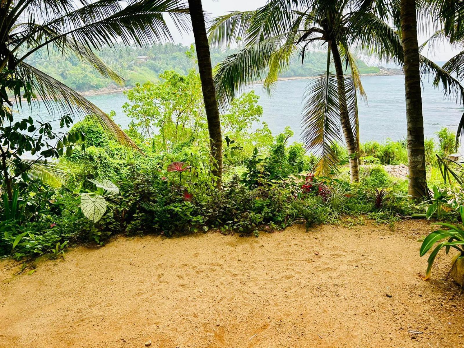 Surf Paradise Tangalle Luaran gambar