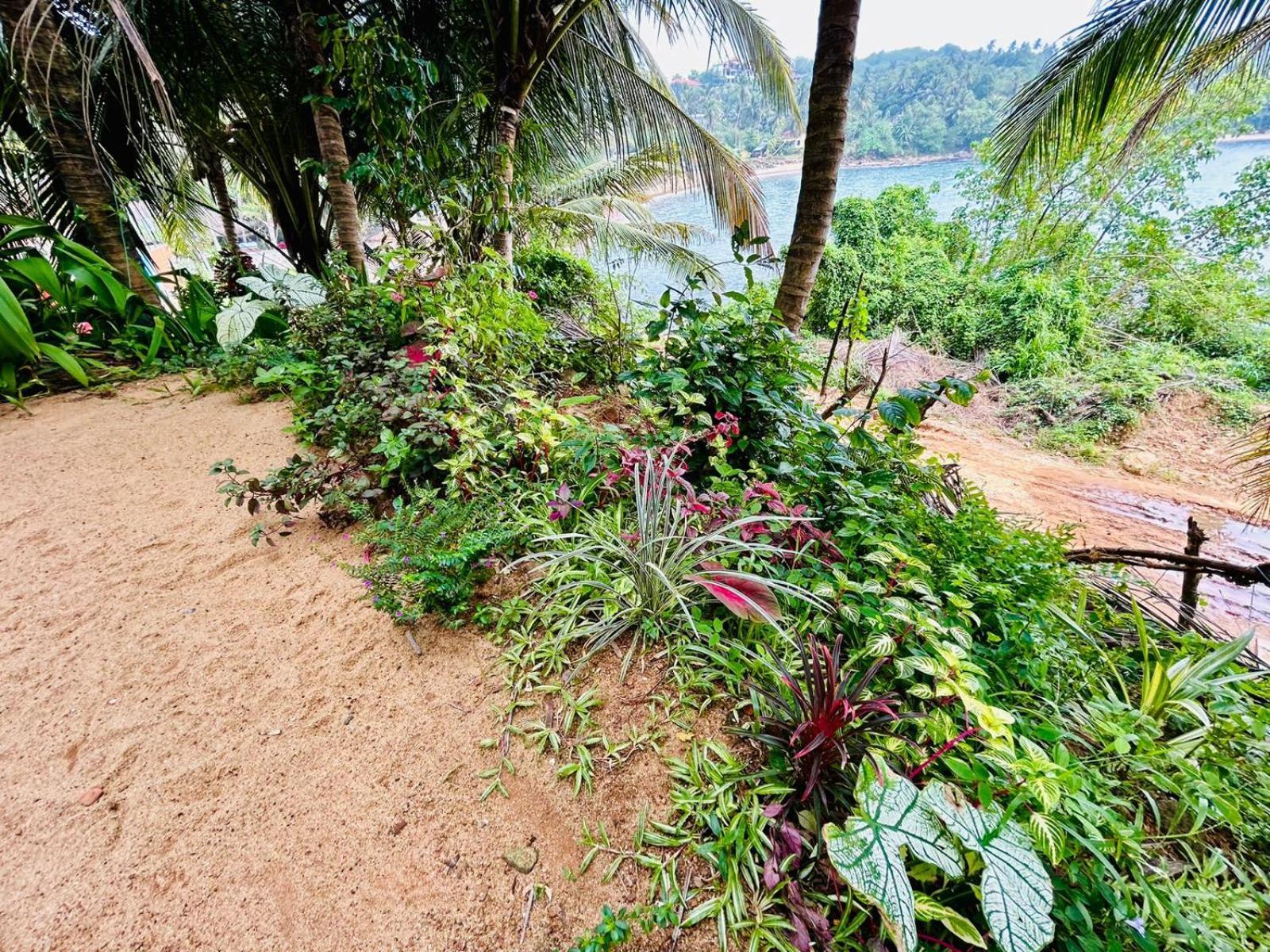 Surf Paradise Tangalle Luaran gambar