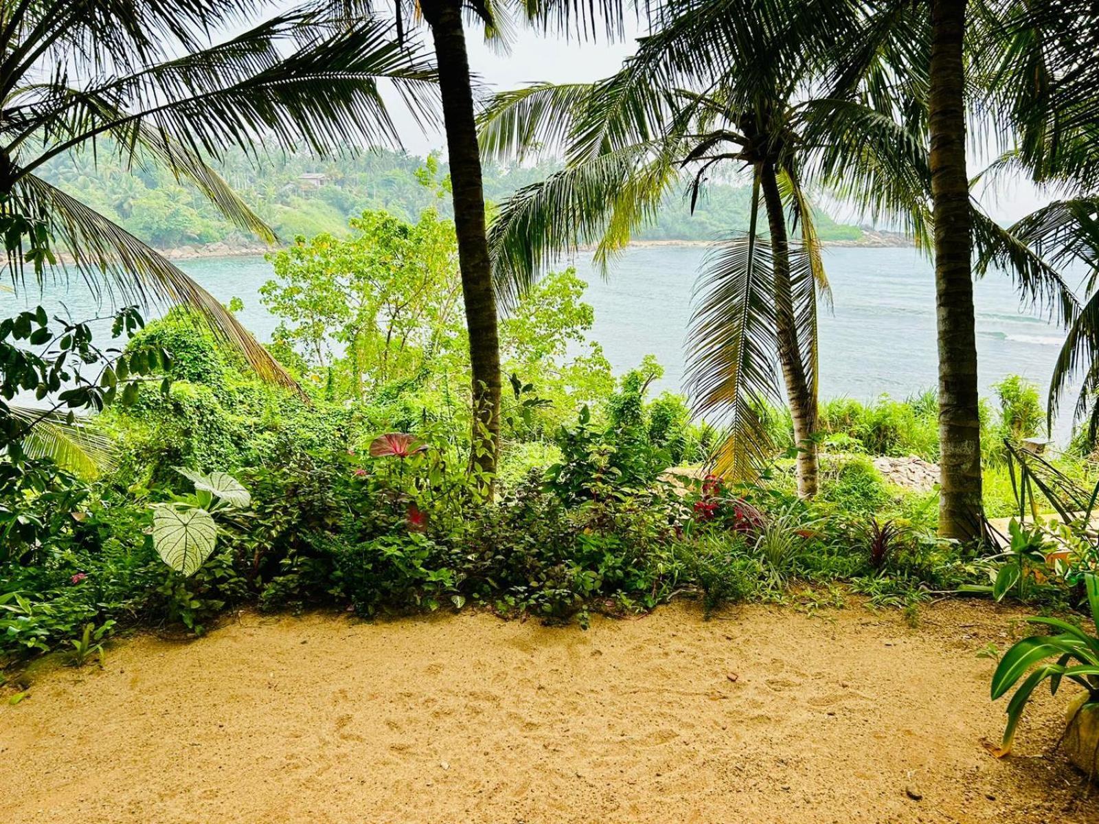 Surf Paradise Tangalle Luaran gambar