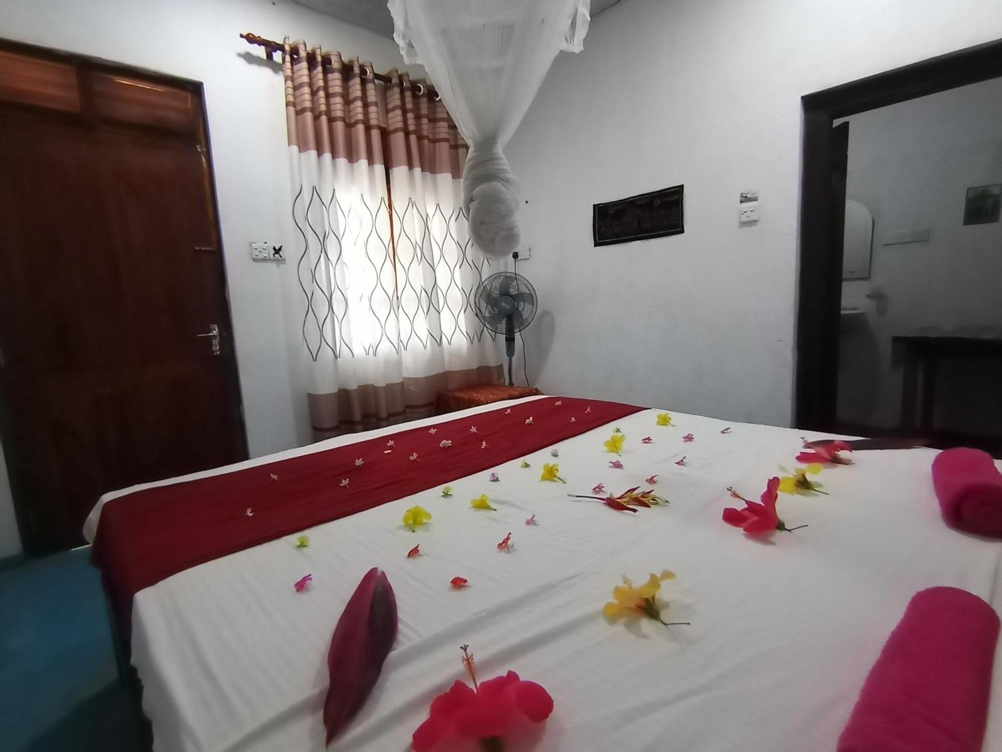 Surf Paradise Tangalle Bilik gambar