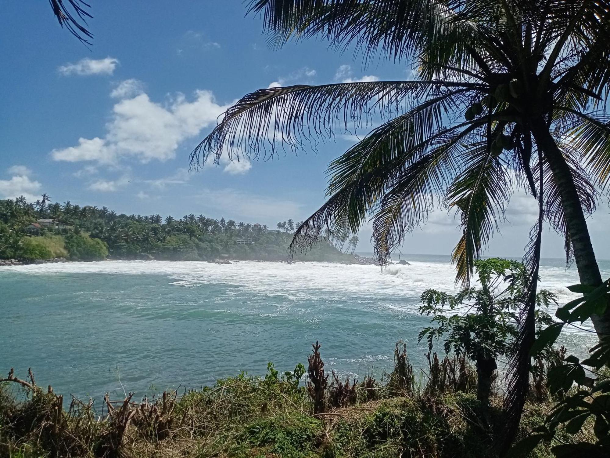 Surf Paradise Tangalle Luaran gambar