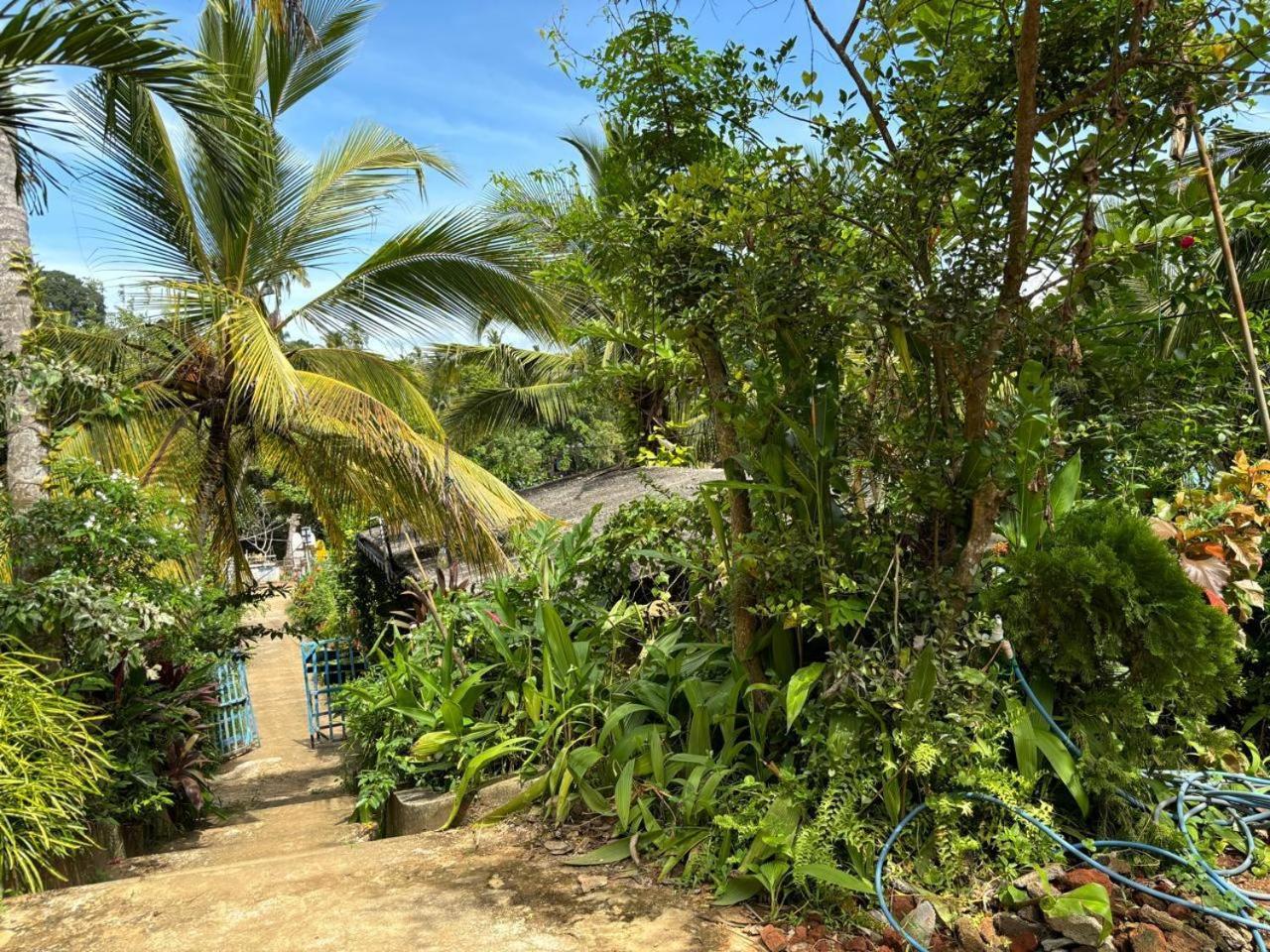 Surf Paradise Tangalle Luaran gambar